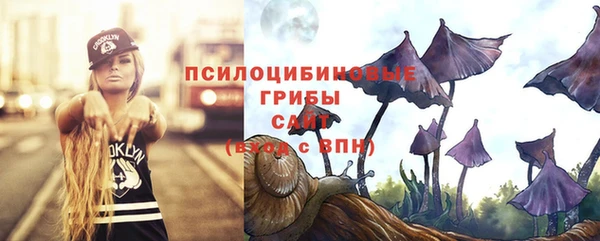ПСИЛОЦИБИНОВЫЕ ГРИБЫ Арсеньев