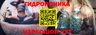 мдпв Аргун