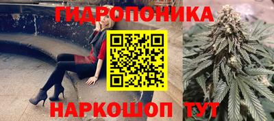 мдпв Аргун