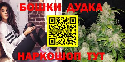 мдпв Аргун