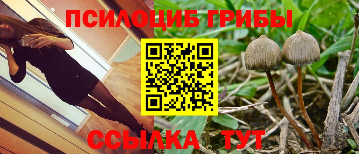 Псилоцибиновые грибы ЛСД  Вход с VPN  Белая Калитва 