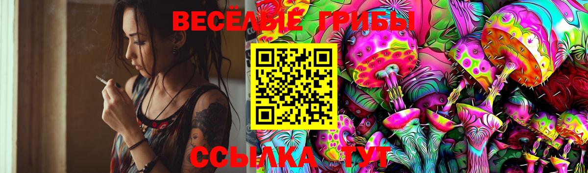 Псилоцибиновые грибы прущие грибы  Белая Калитва 